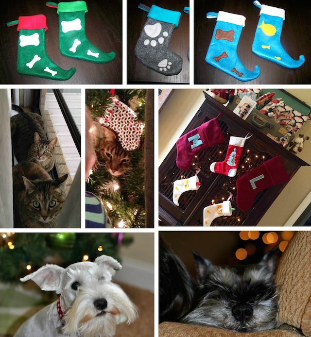 Christmas Pet Stockings for Cats and Dogs