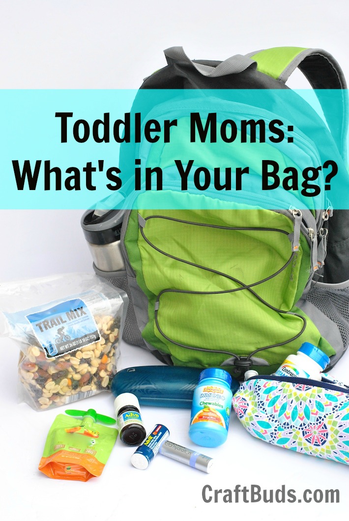 Toddler Mom Purse Essentials