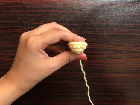 How to make a closed tube in crochet step 2