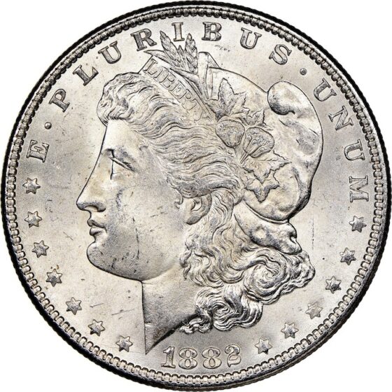 1882 Silver Dollar Value - Craftbuds