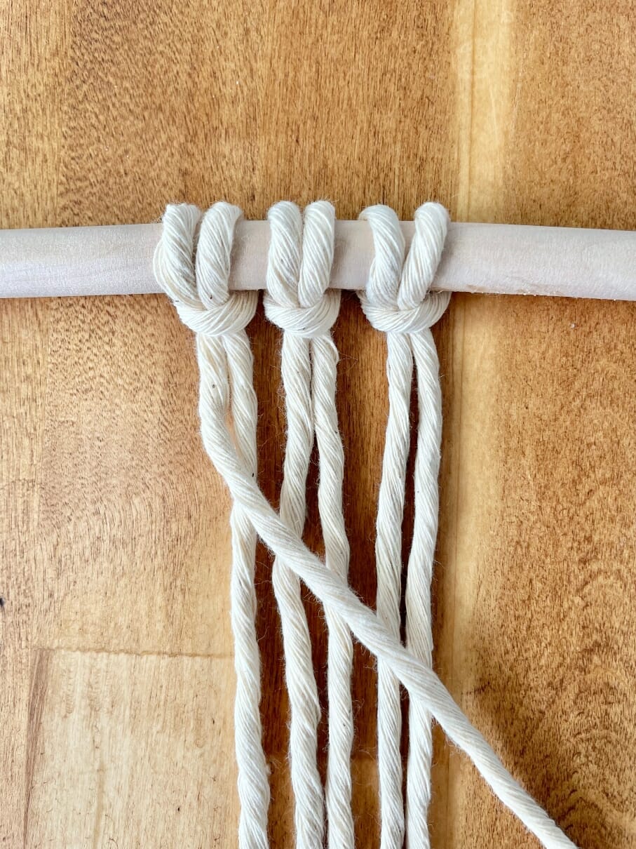 Half Hitch Knot 2