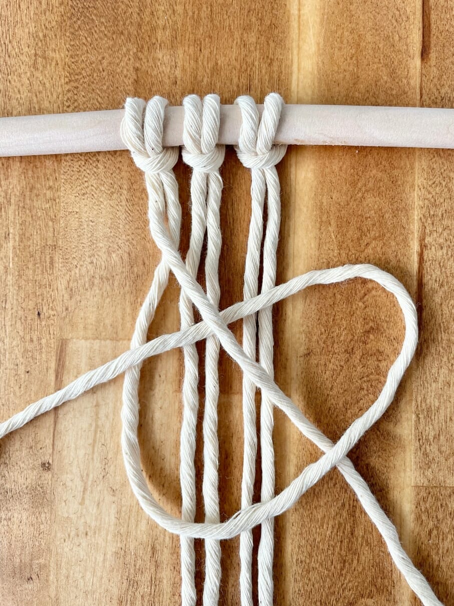 Half Hitch Knot 3