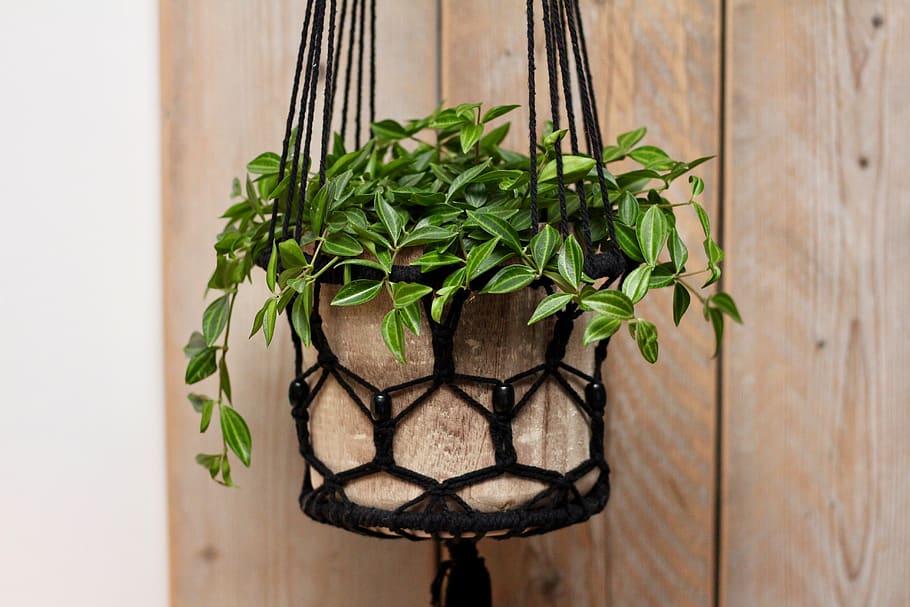 Macrame Plant Holder