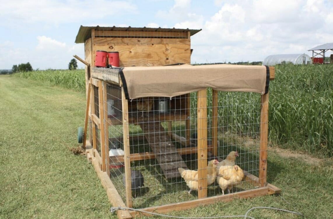 Chicken Coop for 10 Chickens 