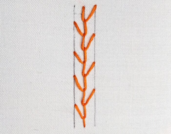 Embroidery Feather Stitch