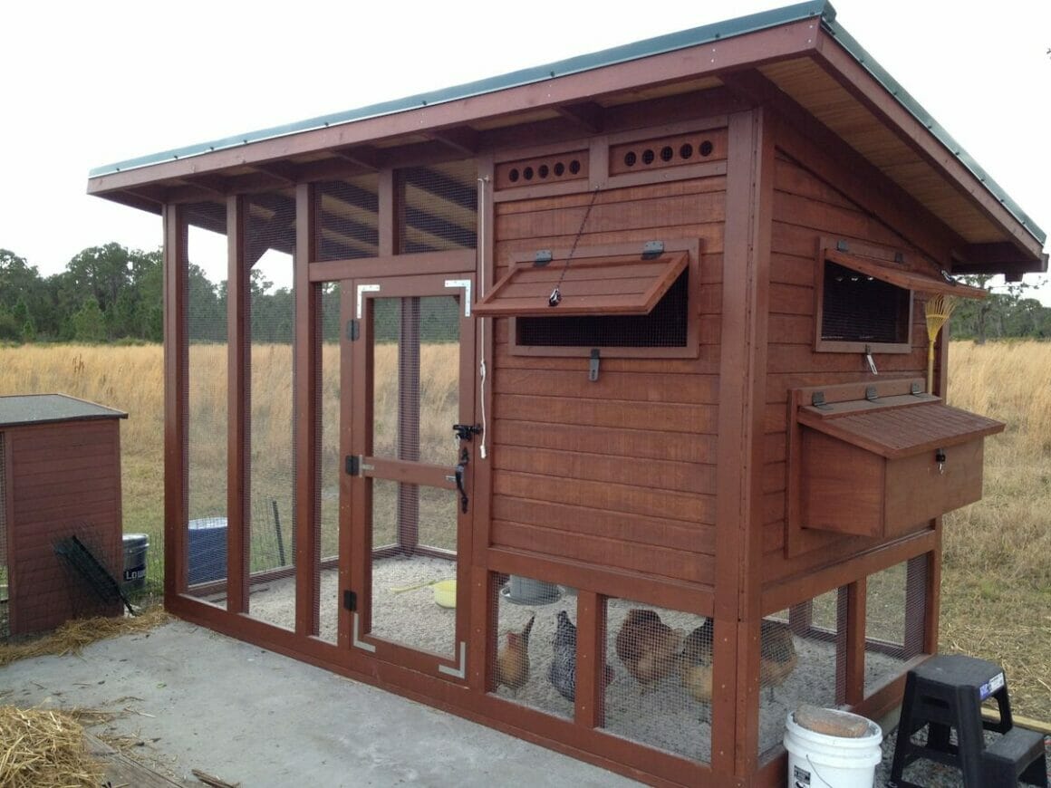 How to Build a Cheap Chicken Coop
