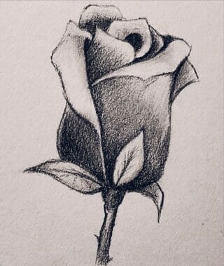 Learn How to Draw a Rose Easy Step-by-Step Video Tutorial