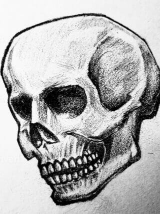 How to draw a skull step-by-step