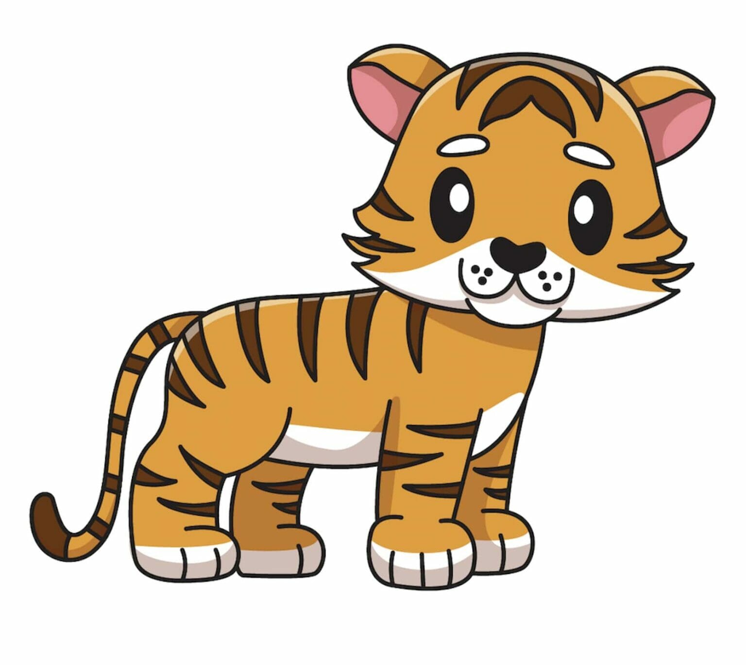 How to Draw a Cute Tiger Easy StepbyStep Video Guide