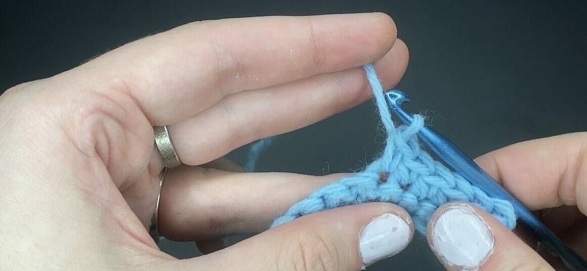 Single crochet across the row into every single crochet stitch that you had previously made in the chain (SC across)