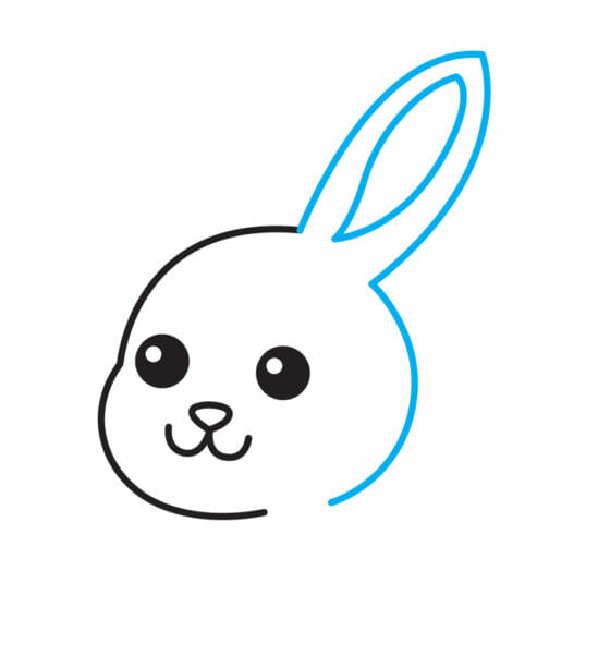 Learn How to Draw a Bunny Easy Step-by-Step Video Tutorial