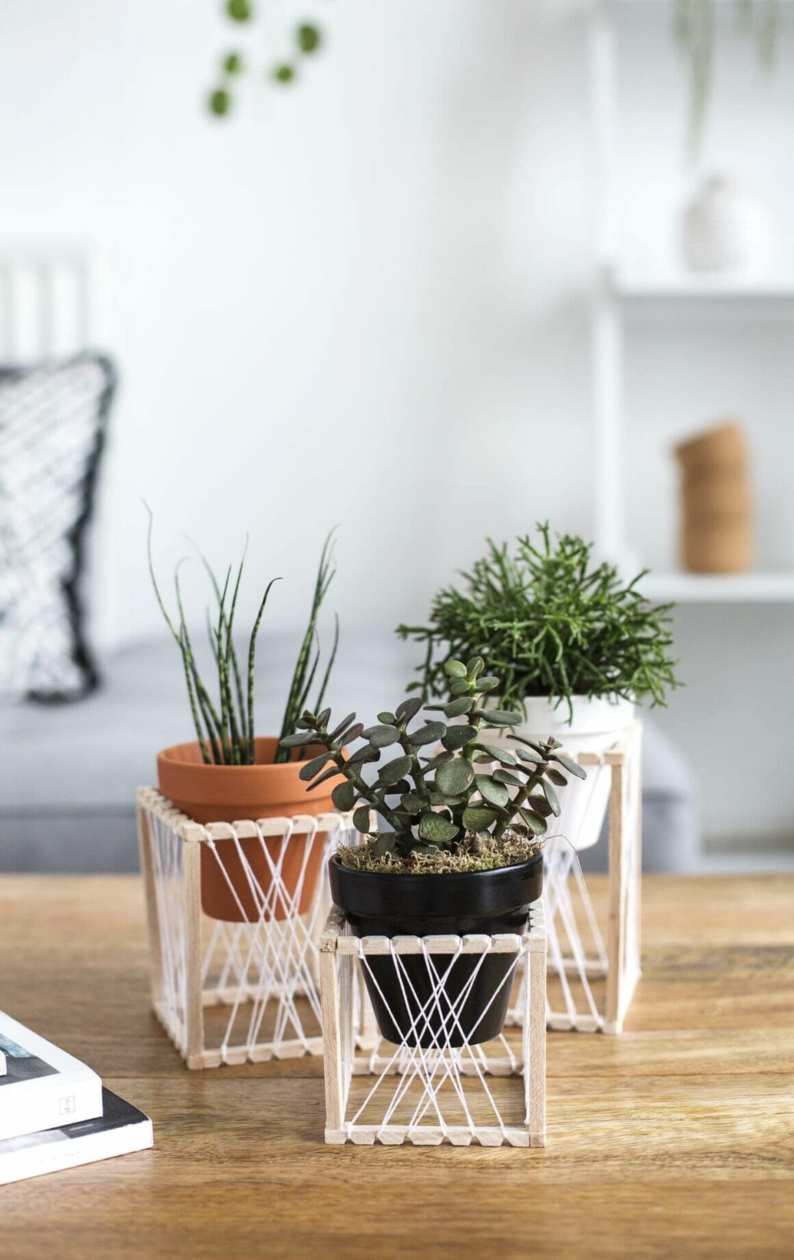 Tabletop Plant Stand