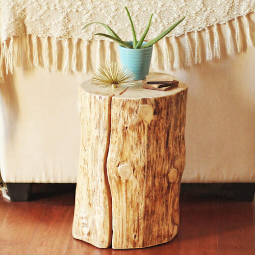 Tree Stump Plant Stand Table