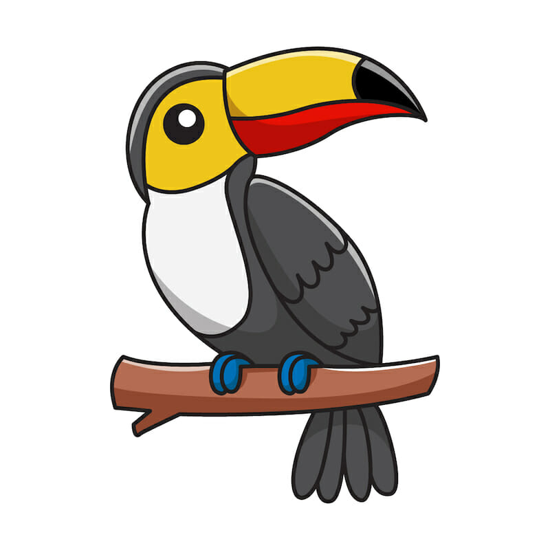 How to draw a toucan